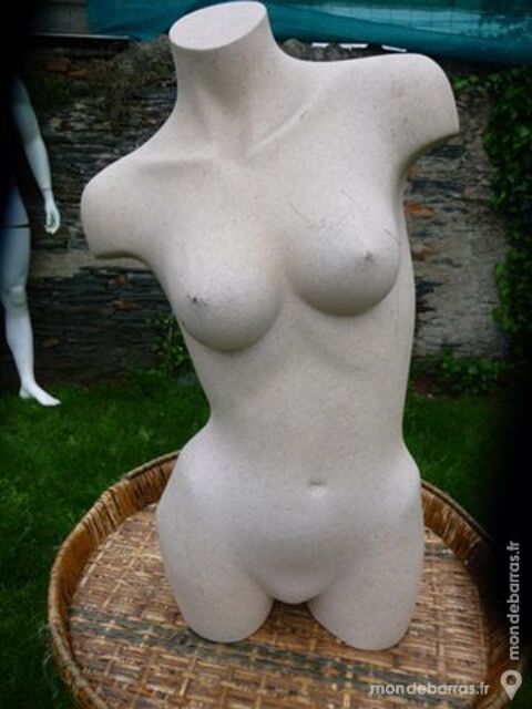 Bustes anciens 150 Angers (49)