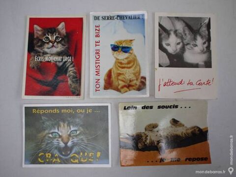 5 CARTES POSTALES: LES CHATS - lot7 5 Mons-en-Barul (59)