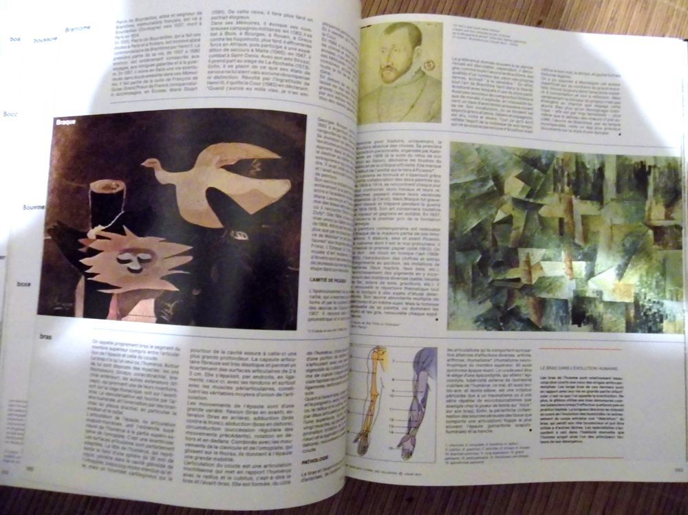 Magnifque collection encyclop&eacute;dique Hachette Livres et BD