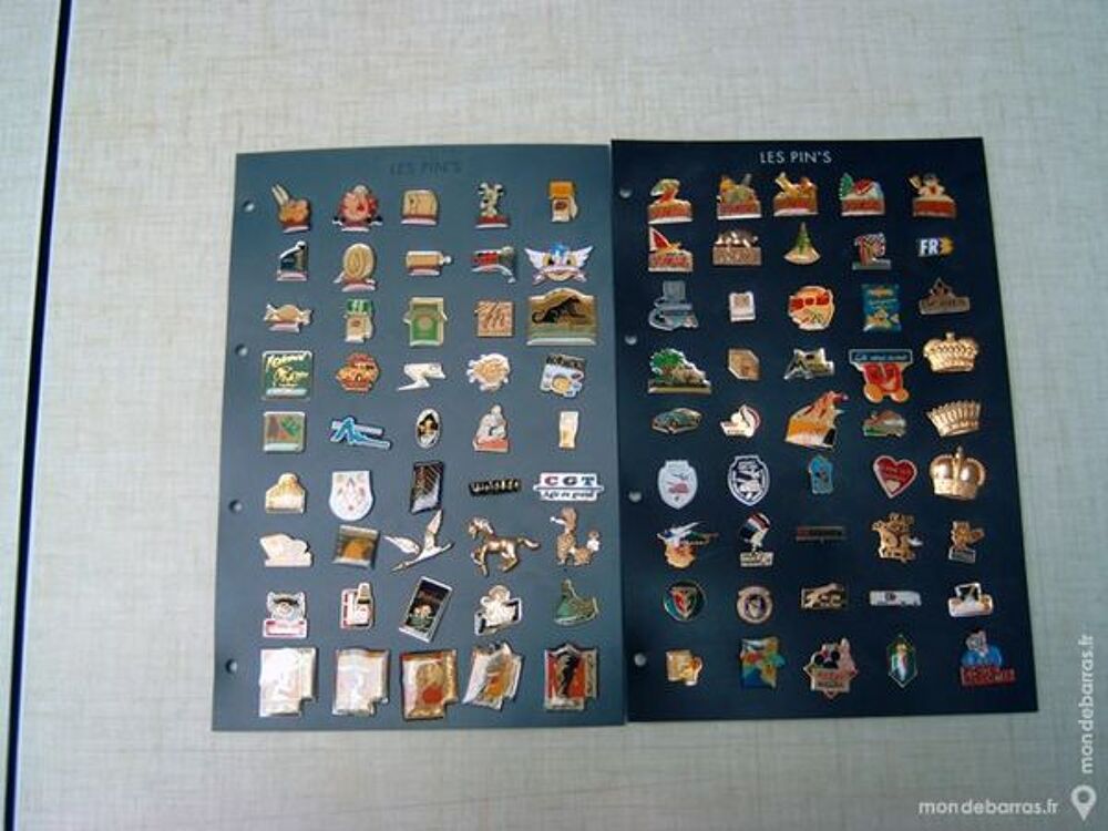 collection de Pins 