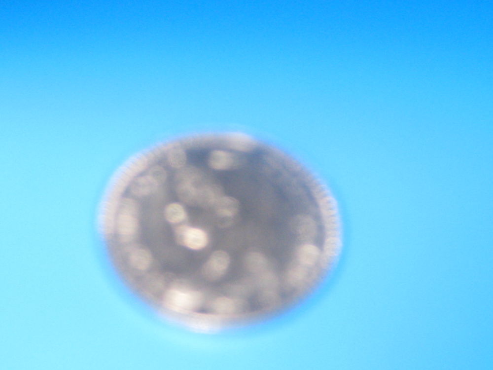 pi&eacute;ce france 1 francs 1992 