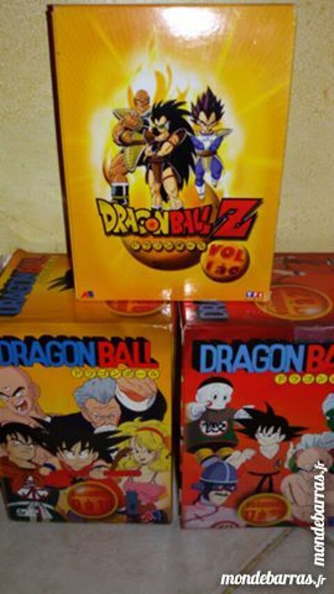 coffret dvd dragon ball 50 Honfleur (14)