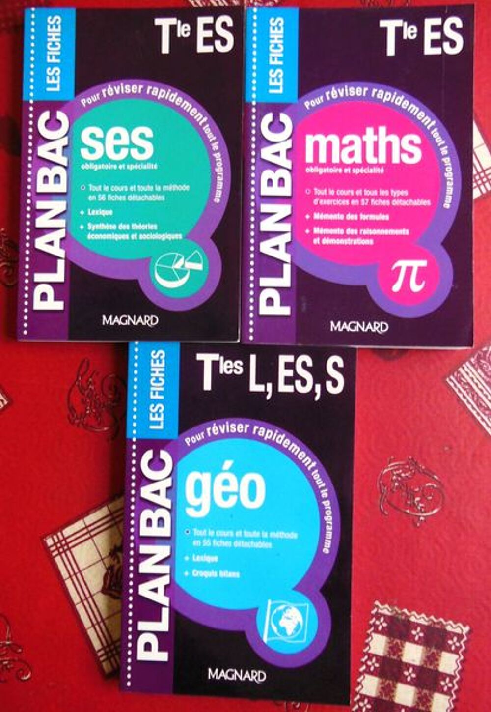 PLAN BAC LES FICHES LIVRES NEUF Livres et BD