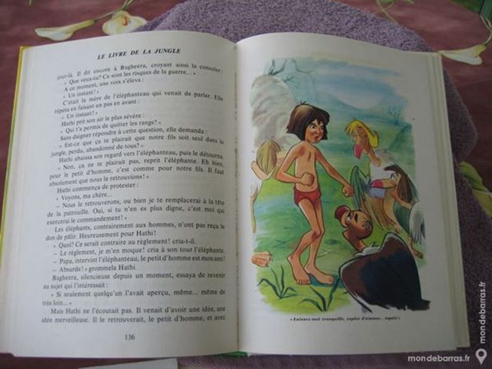 le livre de la jungle Livres et BD