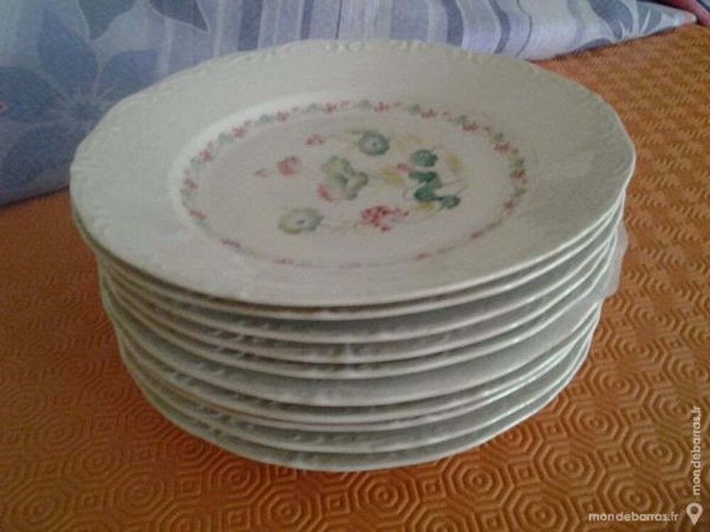 Assiette porcelaine (casoar) Cuisine