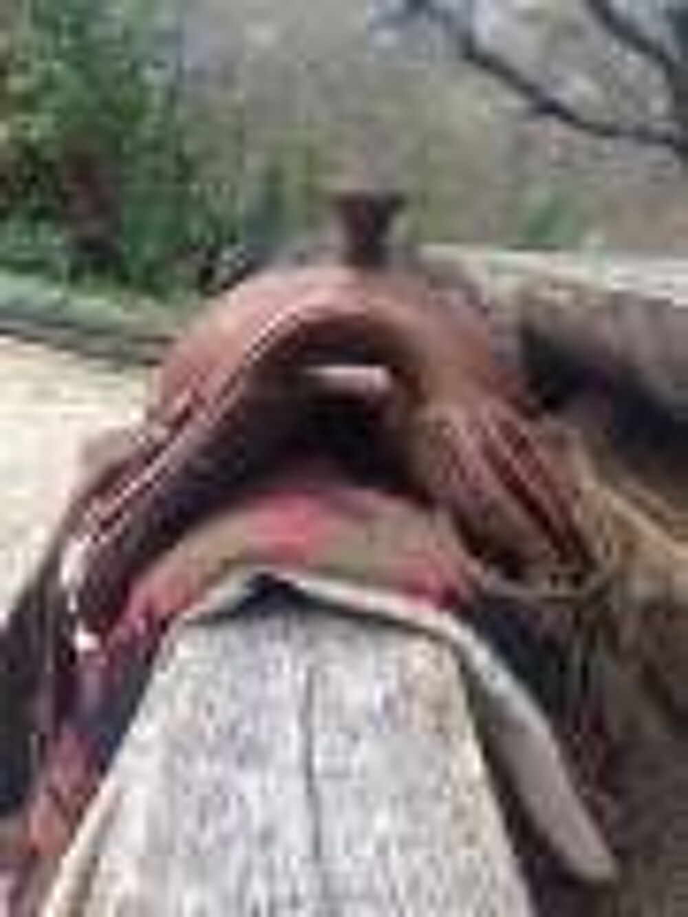Selle western bon &eacute;tat (sellerie Baude) + tapis western Sports