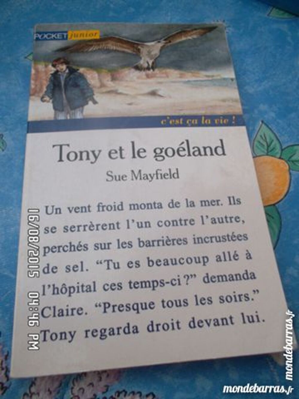 TONY ET LE GOELAND Livres et BD