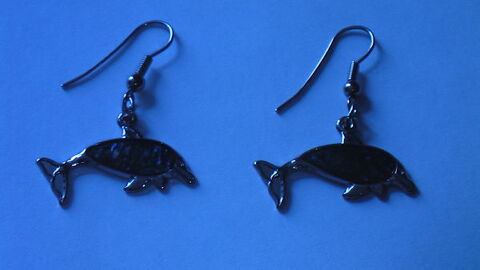 Boucles d'Oreille
5 Rezé (44)