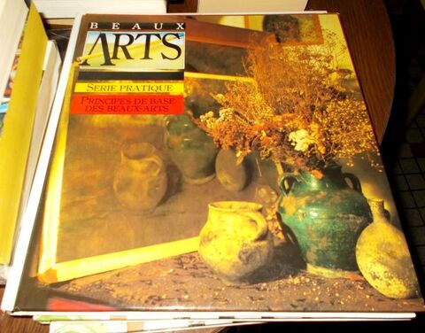 livre beaux arts s�rie pratique principes de base 10 Monflanquin (47)