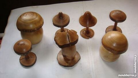 CHAMPIGNONS EN BOIS 10 Saint-M�dard-en-Jalles (33)