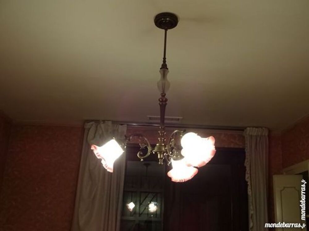 Lustre tulipe Décoration