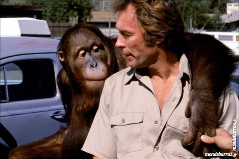 K7 Vhs: Doux, Dur et Dingue (309) DVD et blu-ray