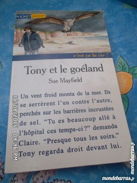 TONY ET LE GOELAND 2 Chambly (60)
