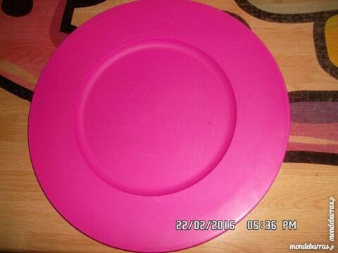 GRANDE ASSIETTE ROSE 1 Chambly (60)