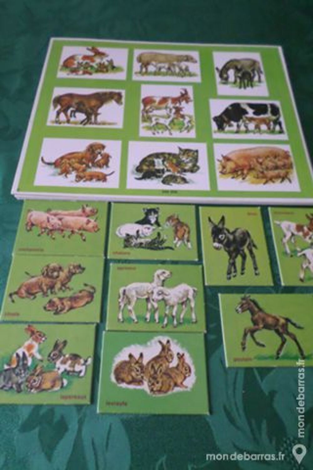 Les Animaux et leurs petits Jeux / jouets