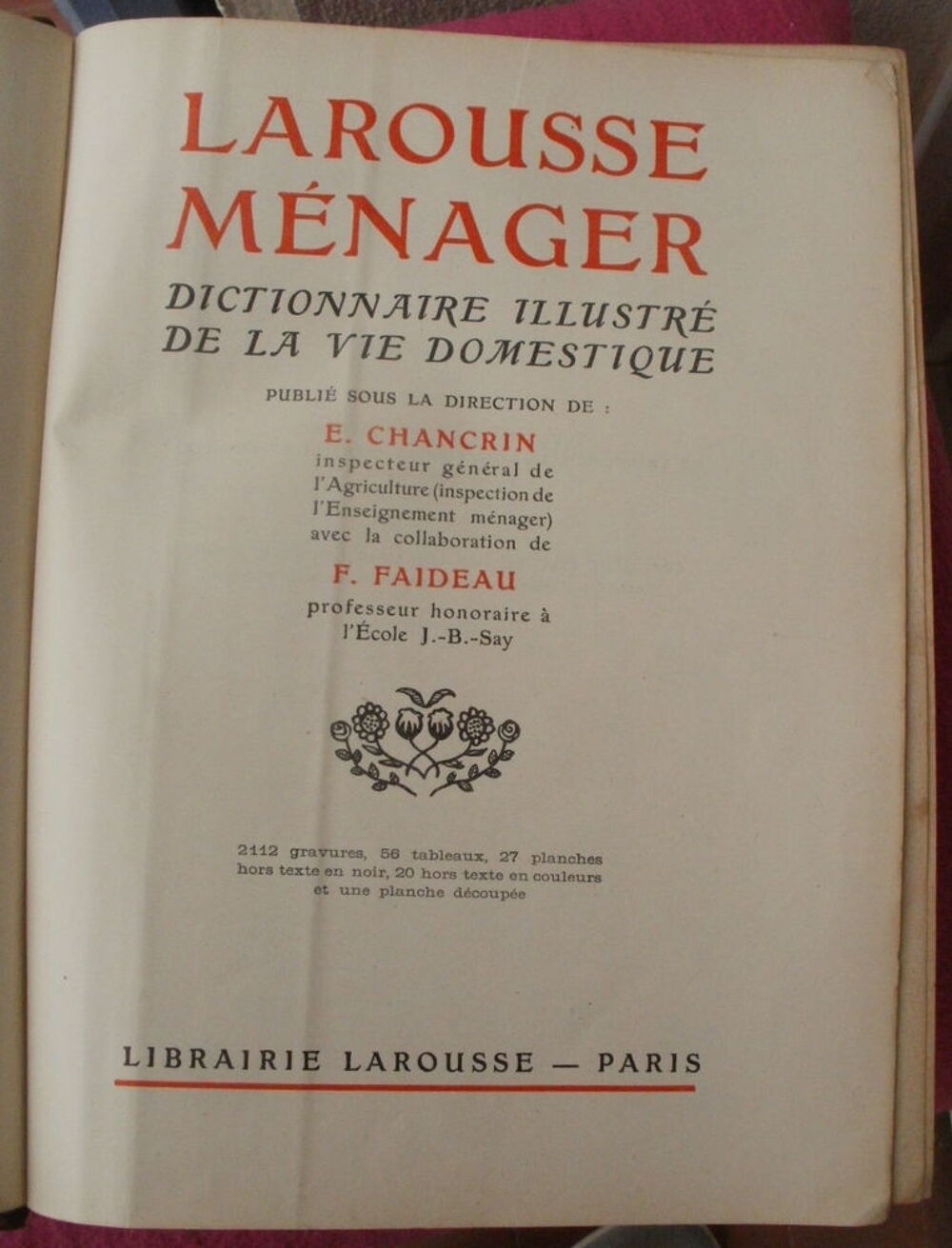 LAROUSSE MENAGER DICTIONNAIRE ILLUSTRE de la VIE DOMESTIQUE Livres et BD