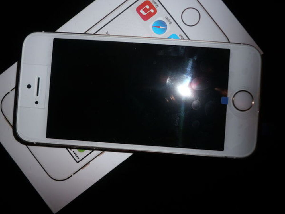 iphone 5 S avec chargeur et ecouteurs Tlphones et tablettes