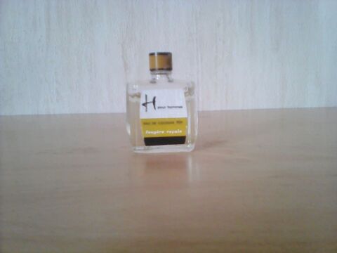 MINIATURES DE PARFUM 8 Trouy (18)