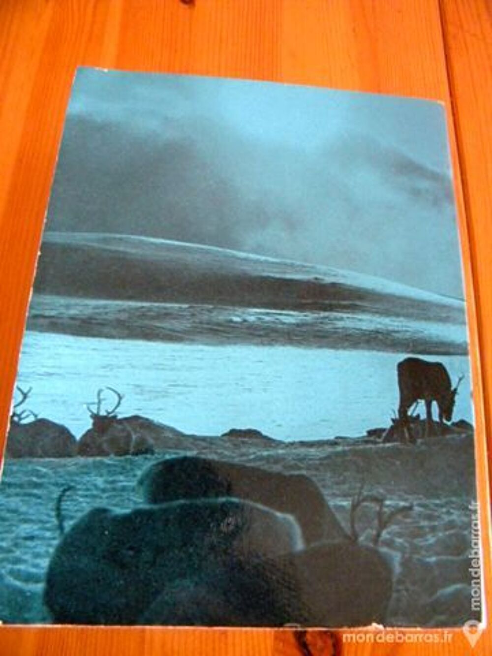 Le Rapt-Lumi&egrave;re de l'Arctique R Frison-Roche 1962 Livres et BD