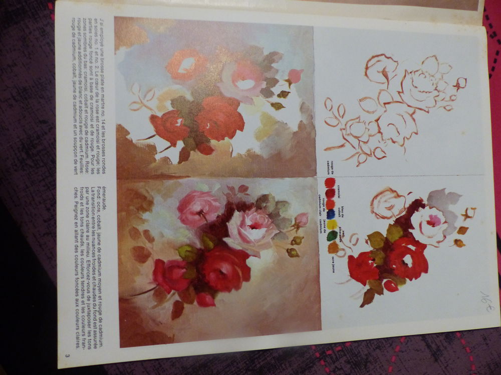  How Painting ROSES and other FLOWERS Livres et BD