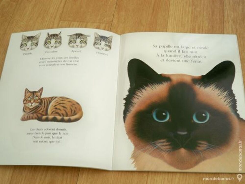 Livre magique Livres et BD