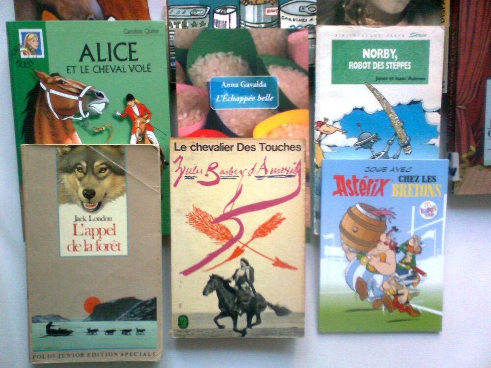 15 livres;Heartland, Norby, ... zoe Livres et BD
