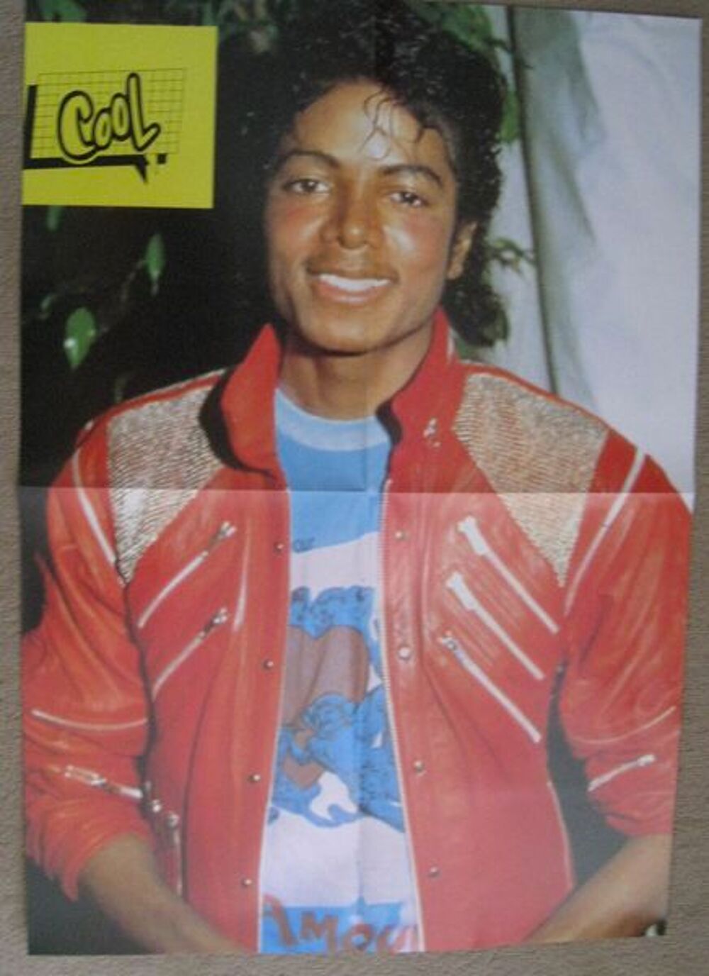 Poster Michael Jackson &amp; Johnny Hallyday CD et vinyles