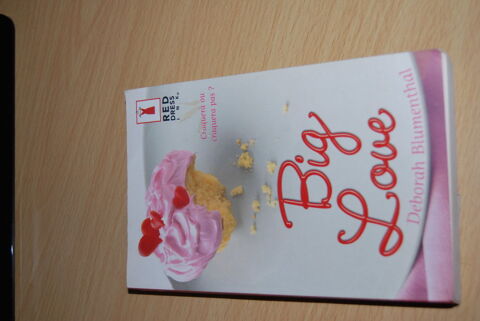 livre de Dborah Blumenthal Big love 1 Soisy-sous-Montmorency (95)