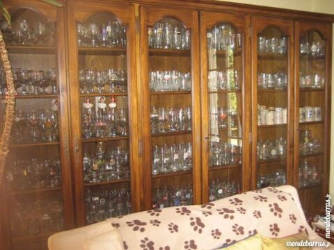 Vitrine en orme massif 3mx2,00mx0,30m 1500 Amboise (37)