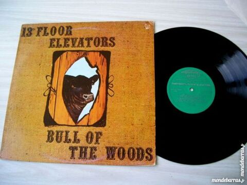 33 TOURS 13TH FLOOR ELEVATORS Bull of woods 45 Nantes (44)