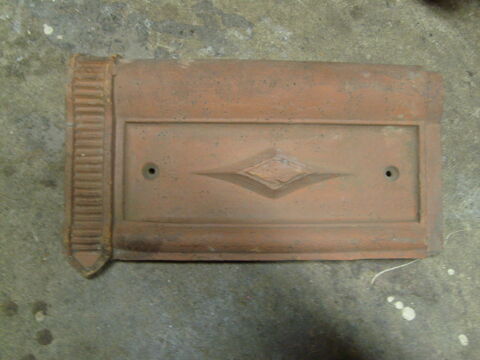 tuiles de rive 4 Brives-Charensac (43)