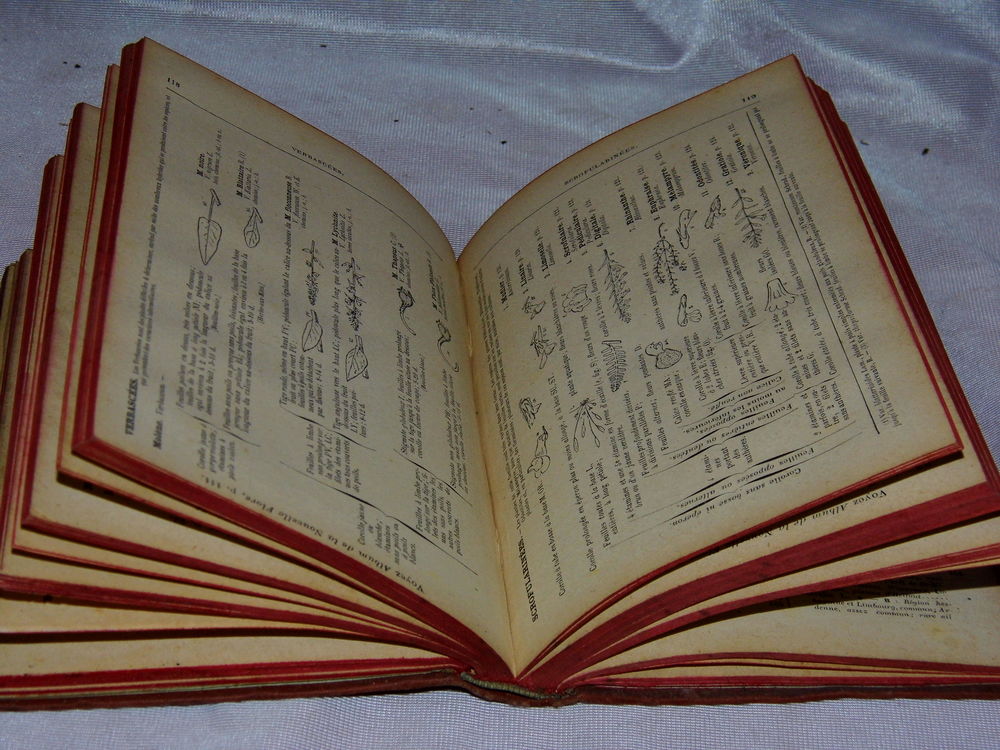 FLORE du NORD de la FRANCE et BELGIQUE Livre ancien botanique 