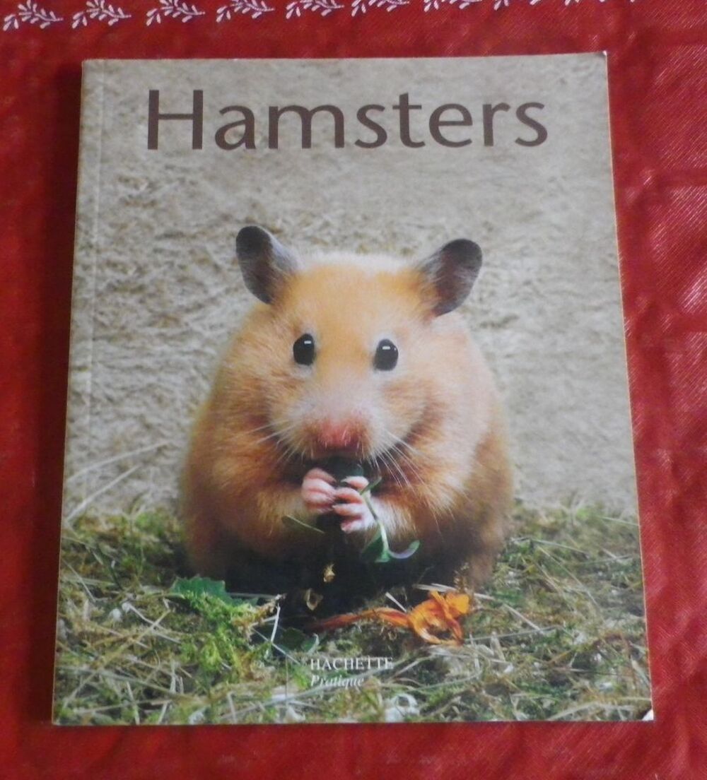 HAMSTERS TOUT SAVOIR SUR LES HAMSTERS Livres et BD