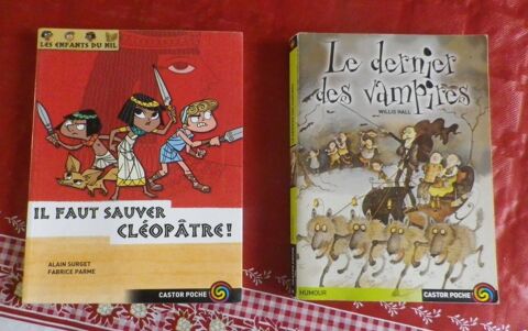 LOT DE 2 CASTOR POCHE 3 Attainville (95)