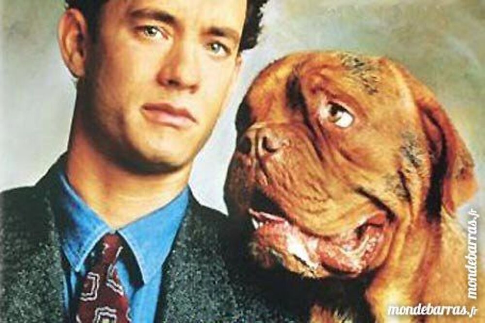 Dvd: Turner &amp; Hooch (352) DVD et blu-ray