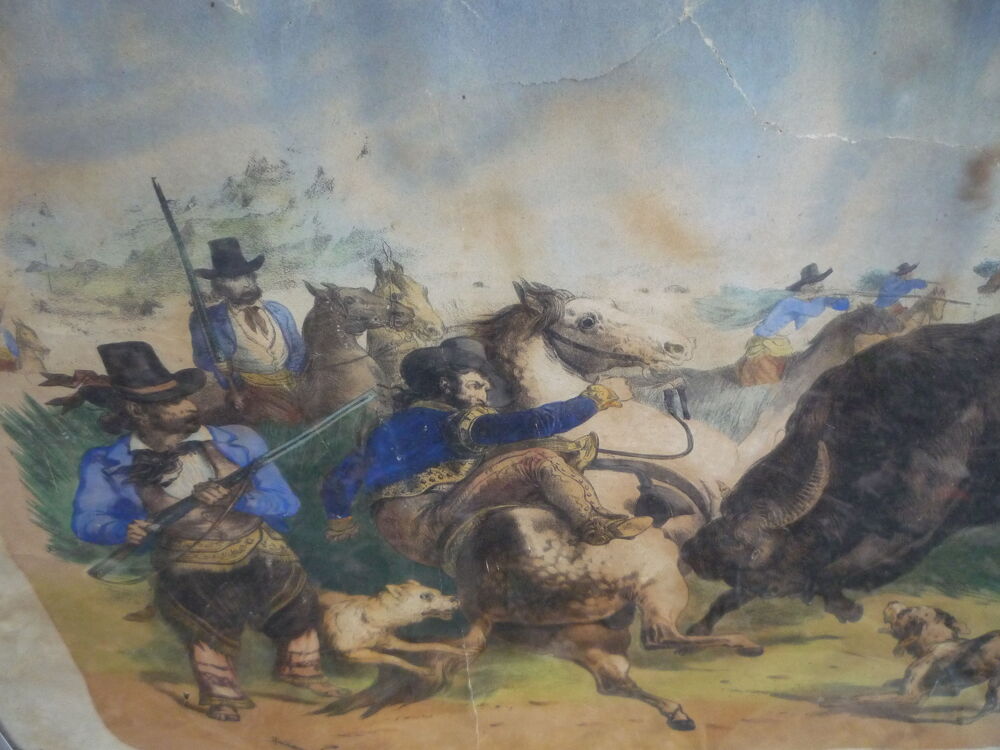 Gravure/ La chasse aux bisons/western/Buffalo Bill Décoration