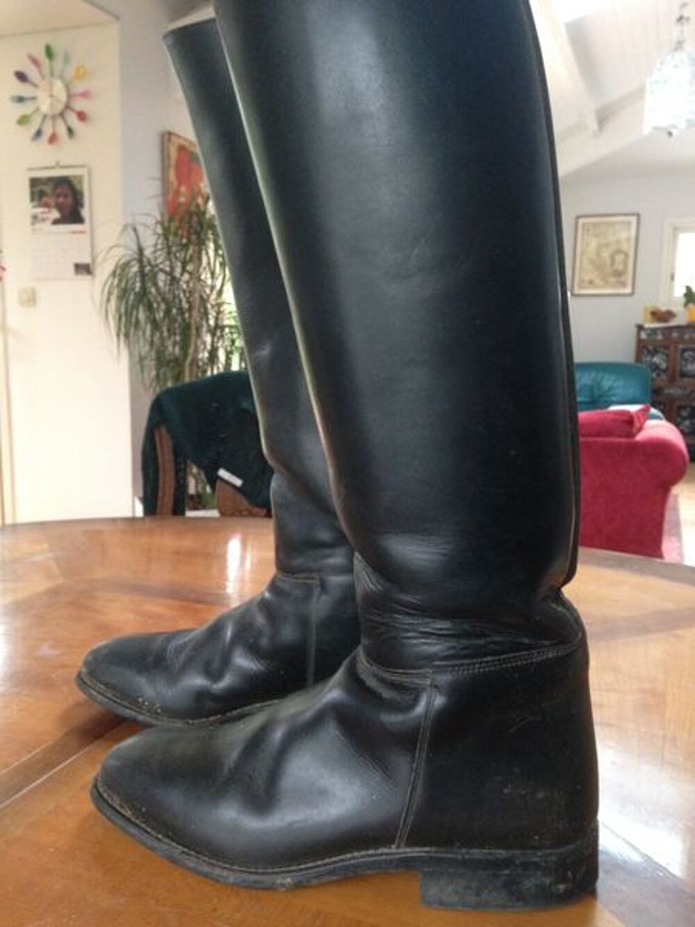 Bottes &eacute;quitation tout cuir Cavallo T41 Sports
