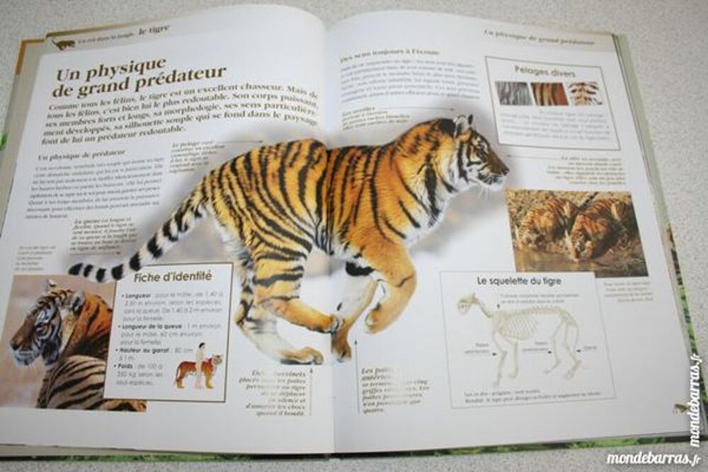 Livre Le tigre Primaire Coll&egrave;ge MIROTON Livres et BD