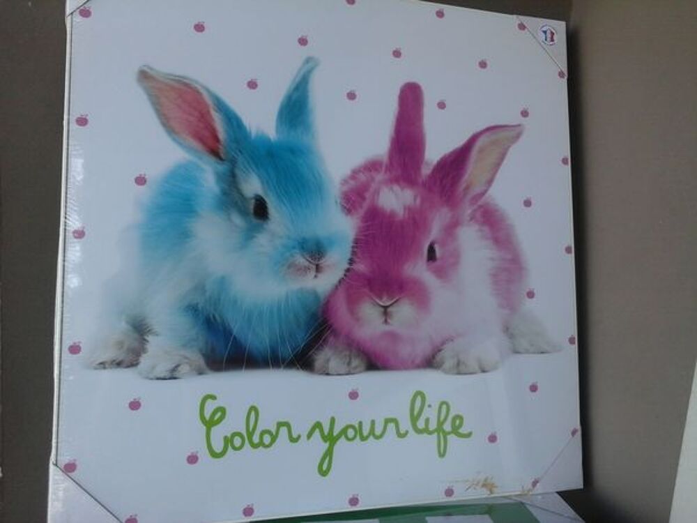 cadre lapins color&eacute;s Décoration