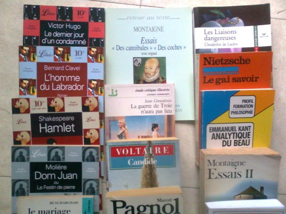 20 livres scolaires, classiques et autres - zoe Livres et BD
