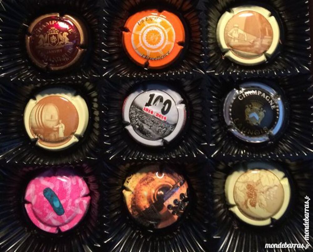 LOT de 18 CAPSULES de CHAMPAGNE 