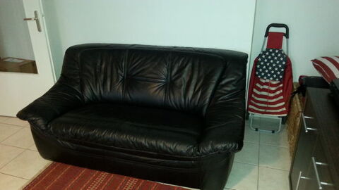 canap cuir 75 Vif (38)