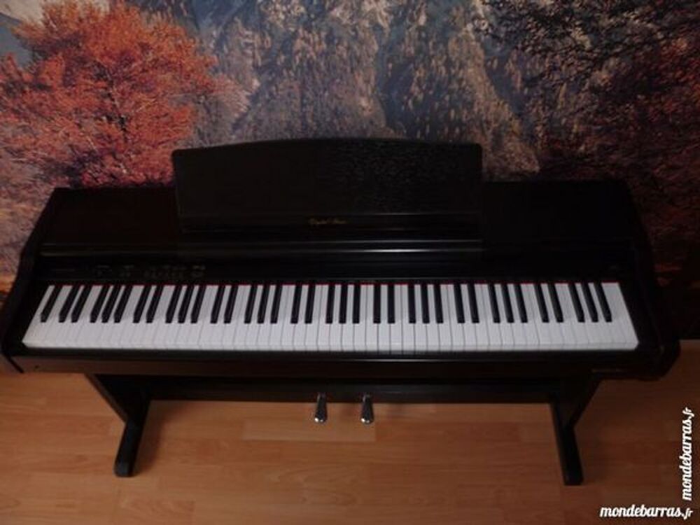 Piano &eacute;lectronique marque Technics Instruments de musique