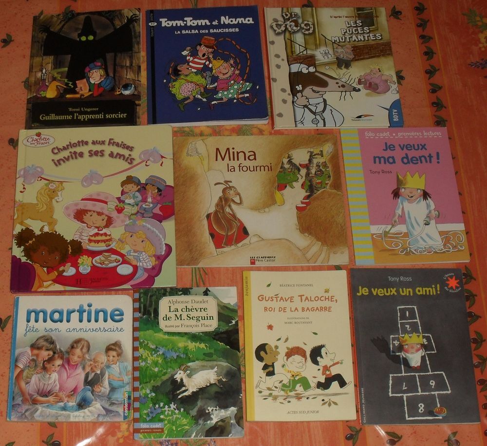 Lot de 19 livres de Jeunesse en parfait &eacute;tat Livres et BD