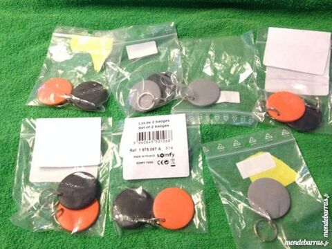 Lot de deux badges pour alarme Somfy 18 Bagnols-sur-Cze (30)