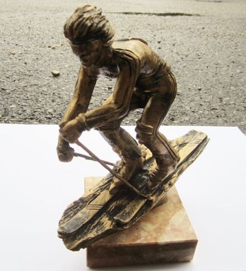 TROPHE SKI  piste - descente - slalom
15 Sassenage (38)