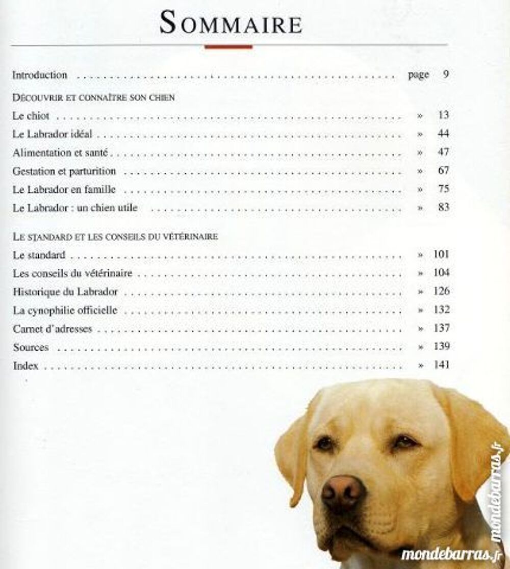GOLDEN - LABRADOR - retriever / prixportcompris Livres et BD