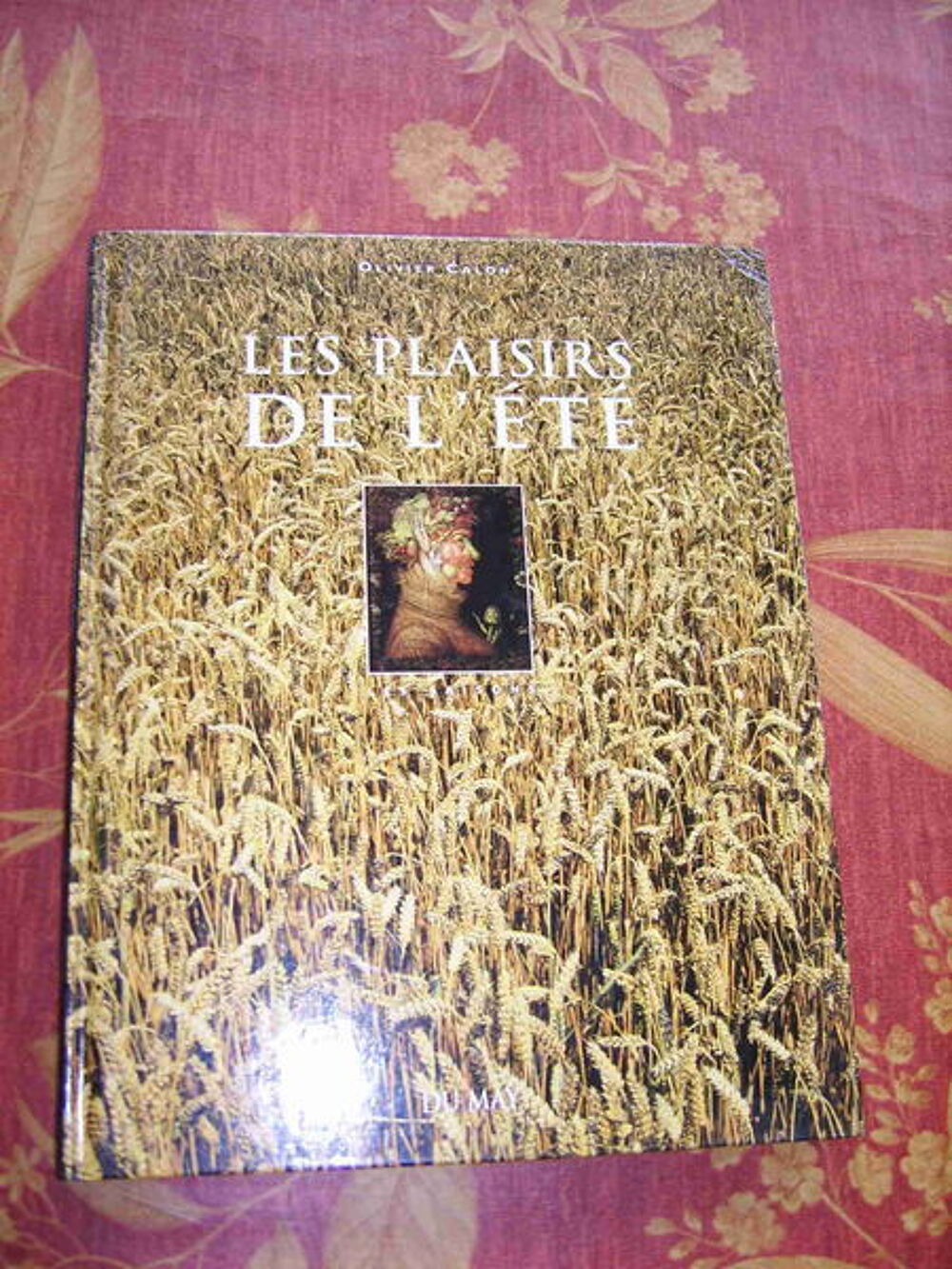 Les plaisirs de l'&eacute;t&eacute; Livres et BD