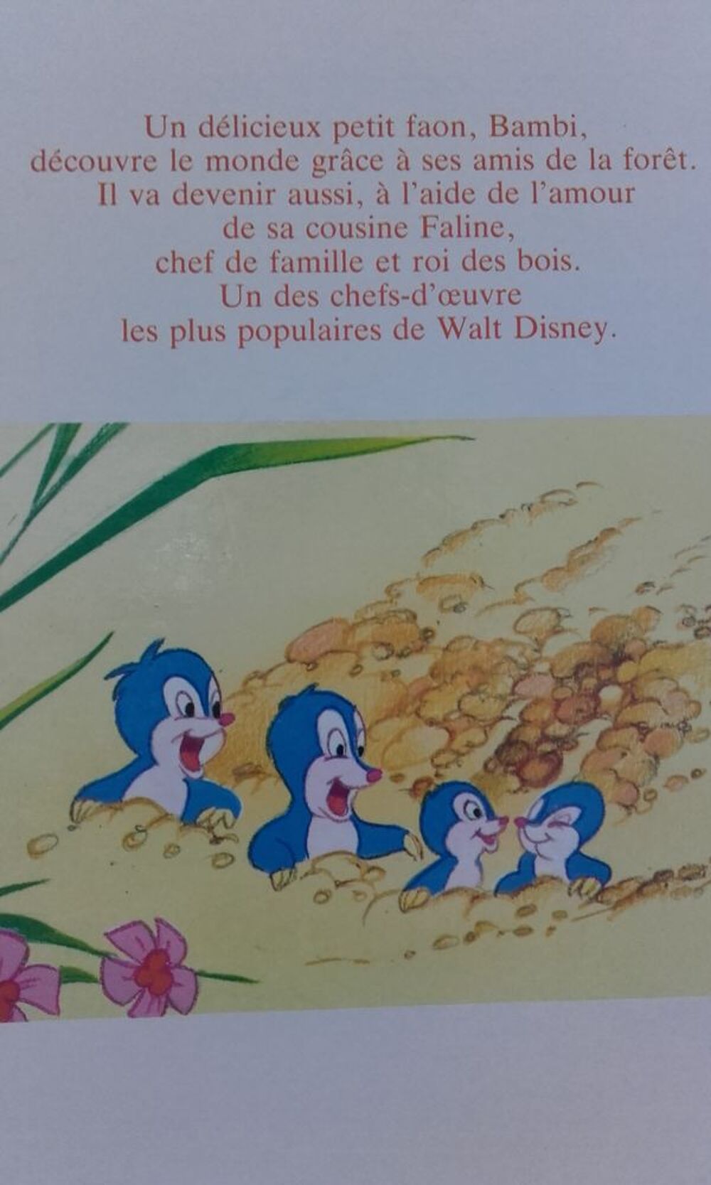 Livre pour enfants Livres et BD