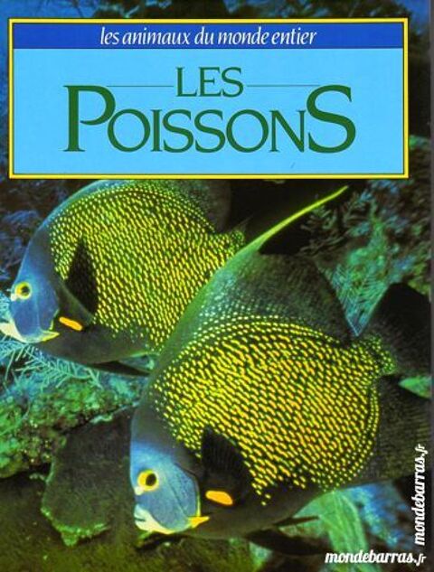 Les poissons 11 Laon (02)